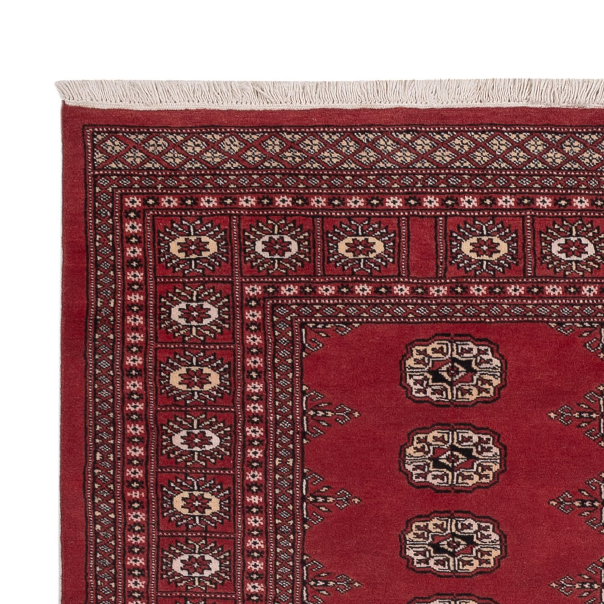 Pakistani Rug 138x185cm - Oriental Rug