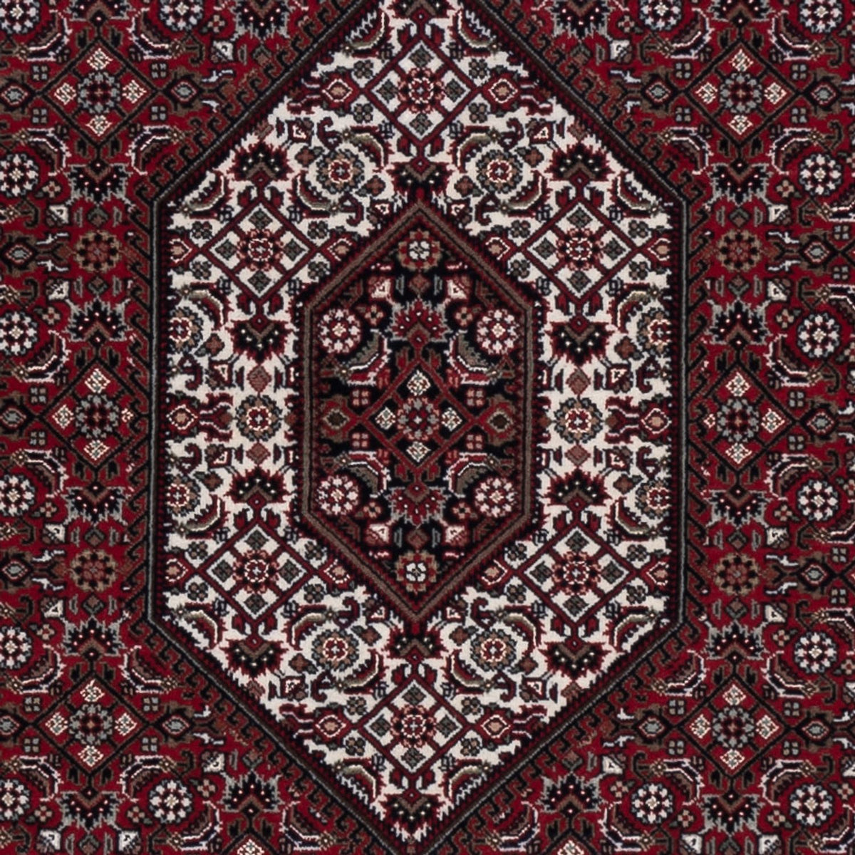 Oriental Rug - Bidjar - Indus - 200 x 142 cm - dark brown