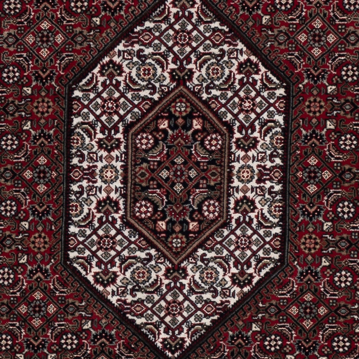 Oriental Rug - Bidjar - Indus - 202 x 138 cm - dark brown
