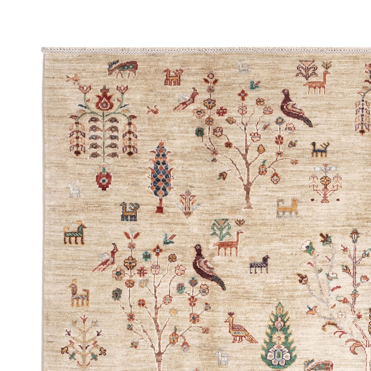 Ziegler Rug - Ariana - 293 x 204 cm - beige