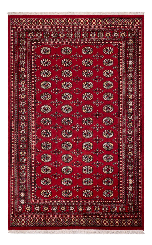 Pakistani Rug - 256 x 167 cm - red
