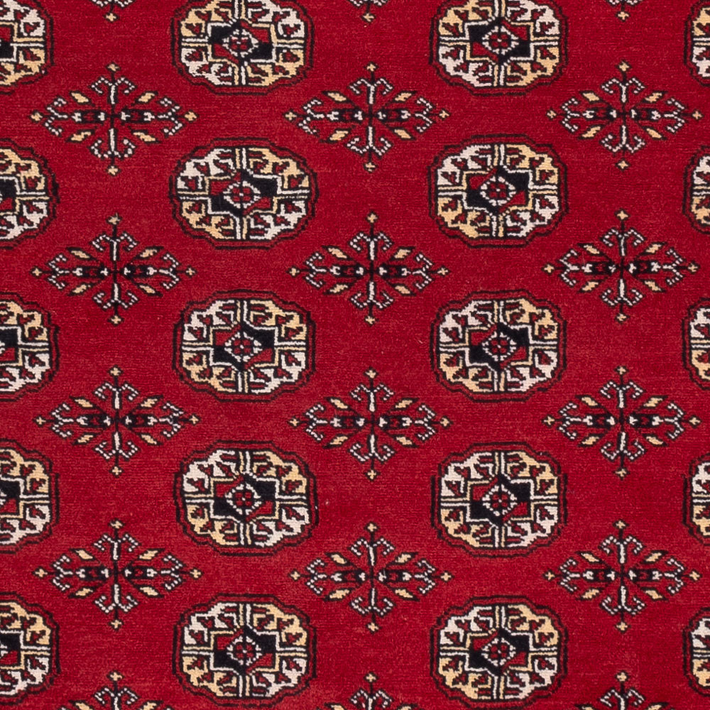 Pakistani Rug - 256 x 167 cm - red