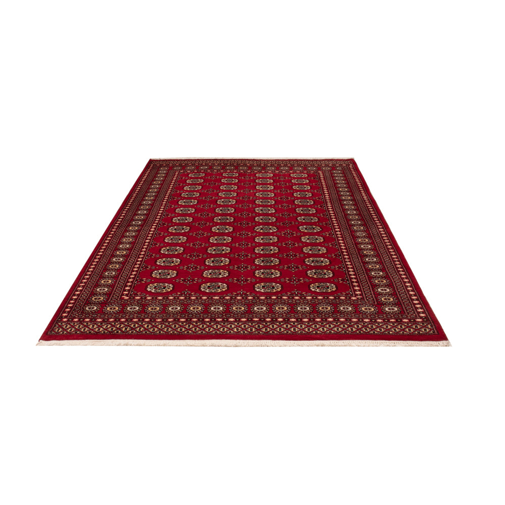 Pakistani Rug - 256 x 167 cm - red