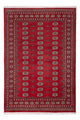 Pakistani Rug 243x168cm - Oriental Rug
