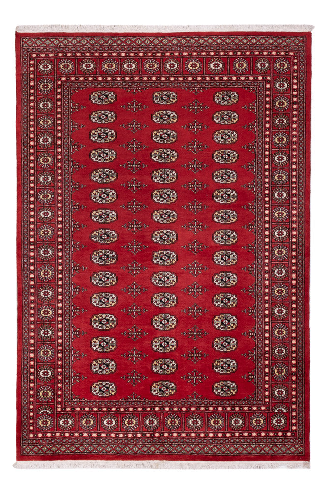 Pakistani Rug - 243 x 168 cm - red