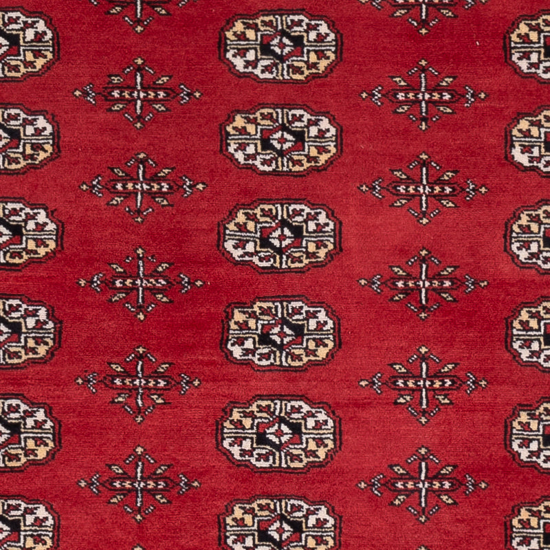 Pakistani Rug - 243 x 168 cm - red