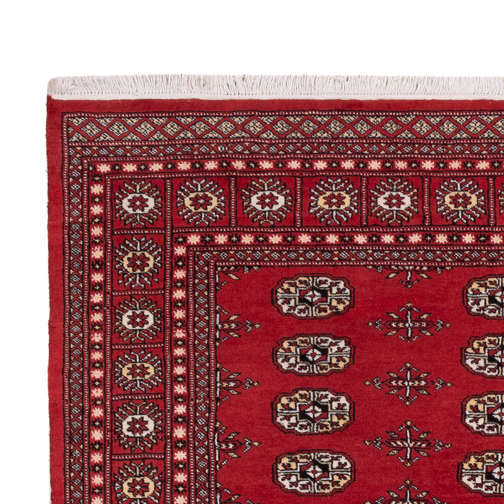 Pakistani Rug 243x168cm - Oriental Rug