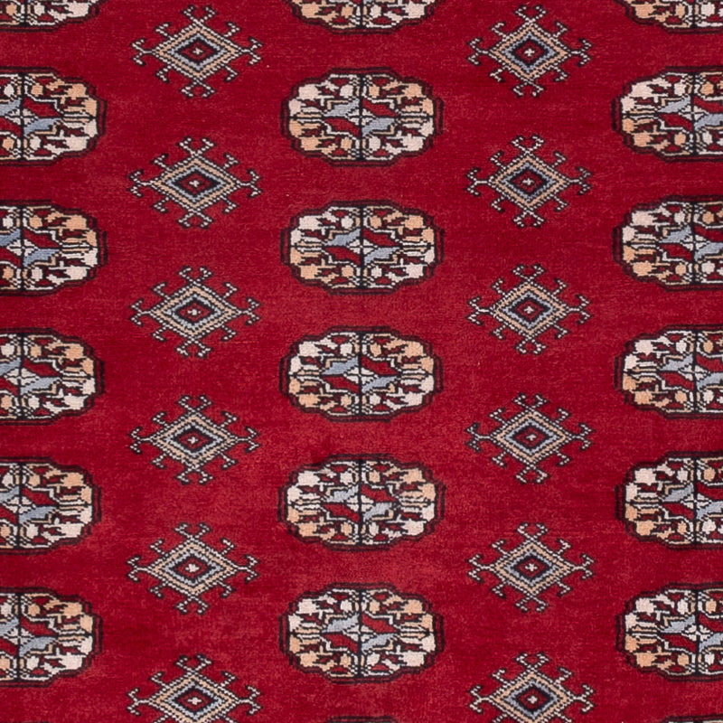 Pakistani Rug - 241 x 154 cm - red