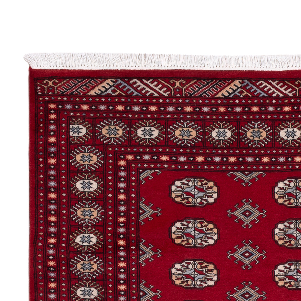 Pakistani Rug 241x154cm - Oriental Rug