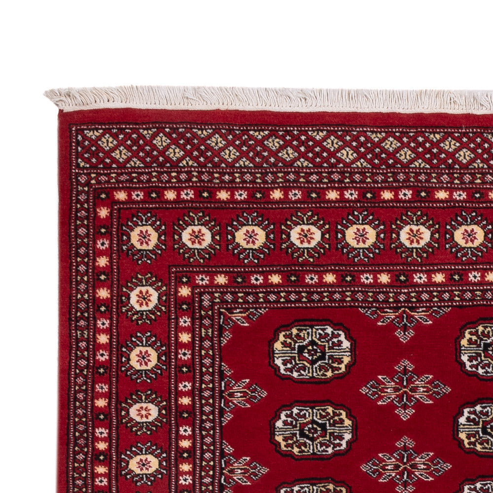 Pakistani Rug 244x154cm - Oriental Rug