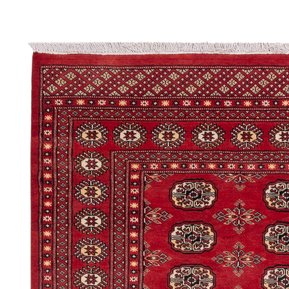 Pakistani Rug 237x158cm - Oriental Rug