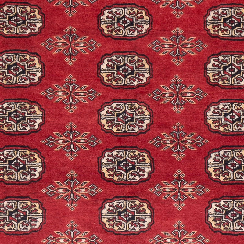 Pakistani Rug - 250 x 159 cm - red