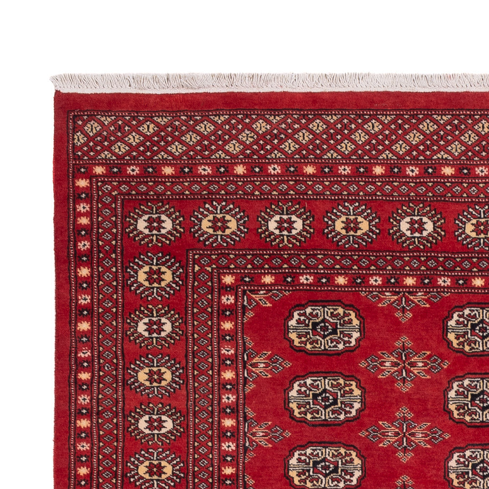 Pakistani Rug - 250 x 159 cm - red