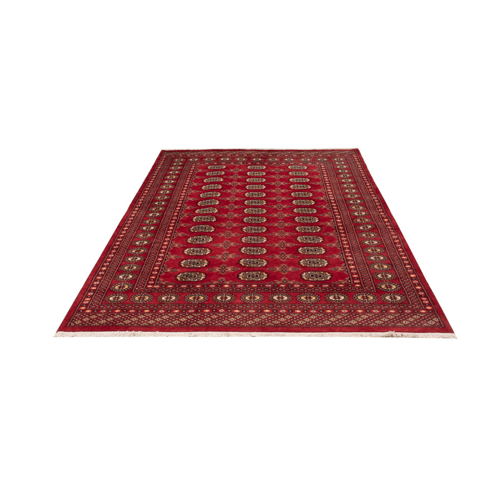 Pakistani Rug - 250 x 159 cm - red