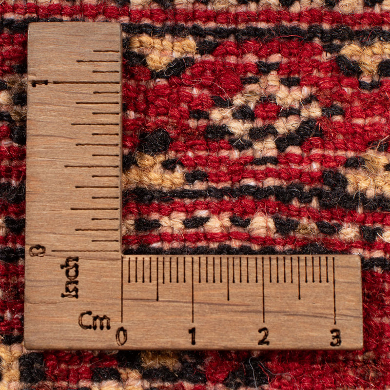 Pakistani Rug - 250 x 159 cm - red