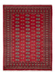 Pakistani Rug 231x172cm - Oriental Rug