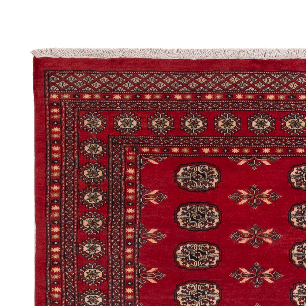 Pakistani Rug 231x172cm - Oriental Rug