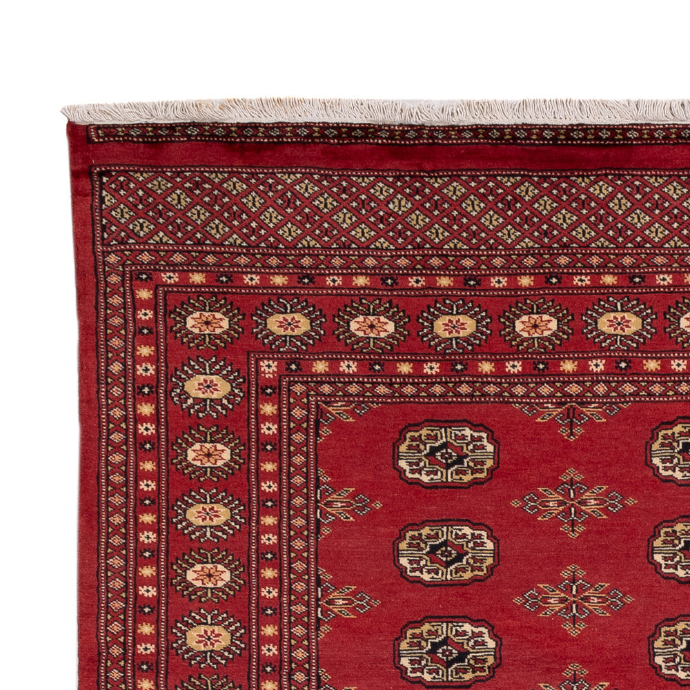 Pakistani Rug - 241 x 173 cm - red