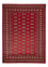 Pakistani Rug - 233 x 174 cm - red