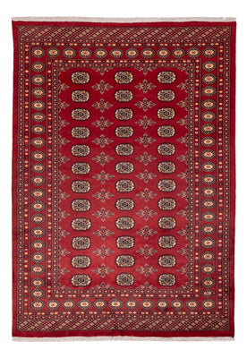 Pakistani Rug - 245 x 170 cm - red