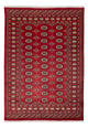 Pakistani Rug 245x170cm - Oriental Rug