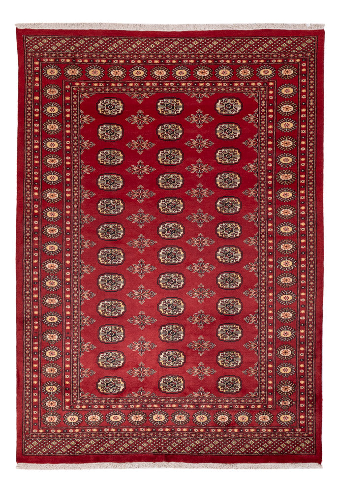 Pakistani Rug - 245 x 170 cm - red