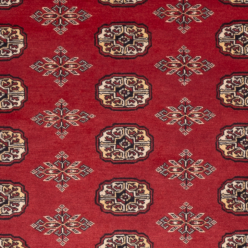Pakistani Rug - 245 x 170 cm - red