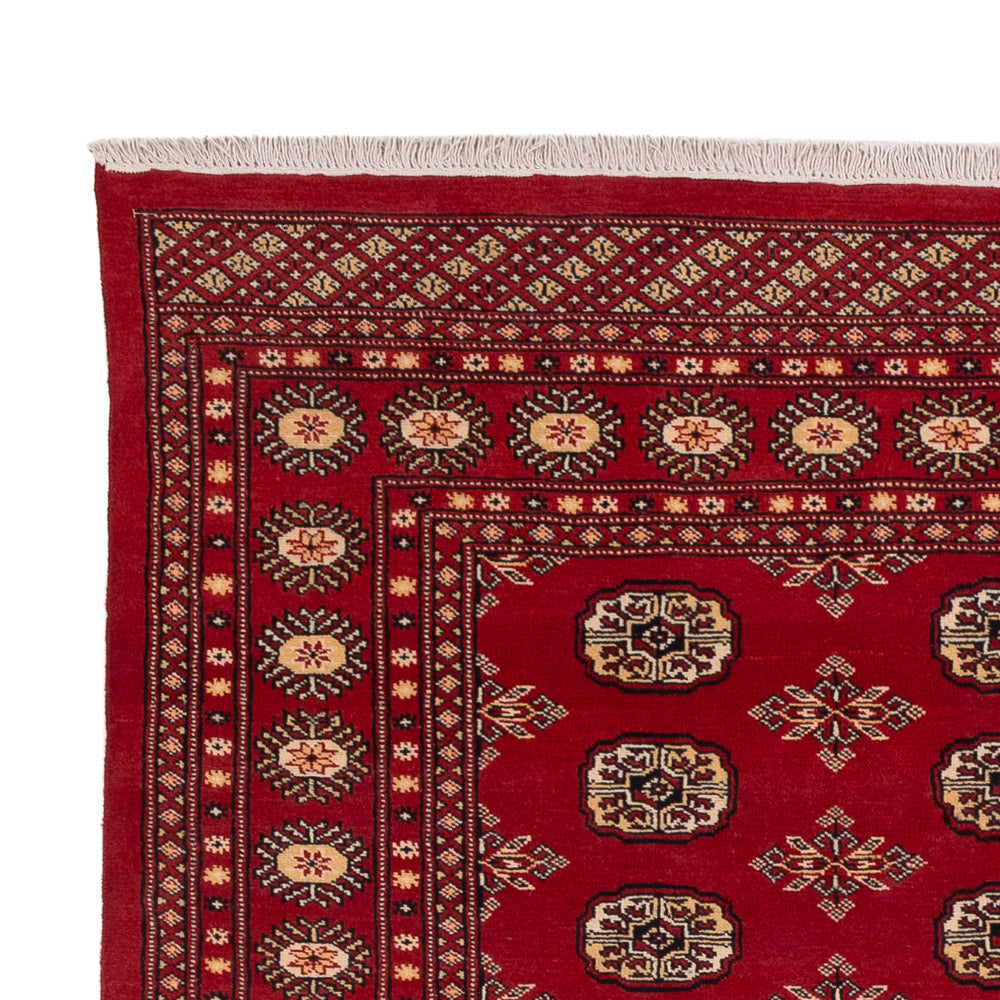 Pakistani Rug - 245 x 170 cm - red
