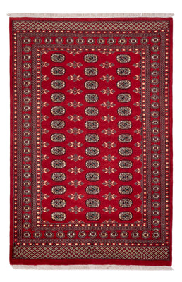 Pakistani Rug - 258 x 179 cm - red