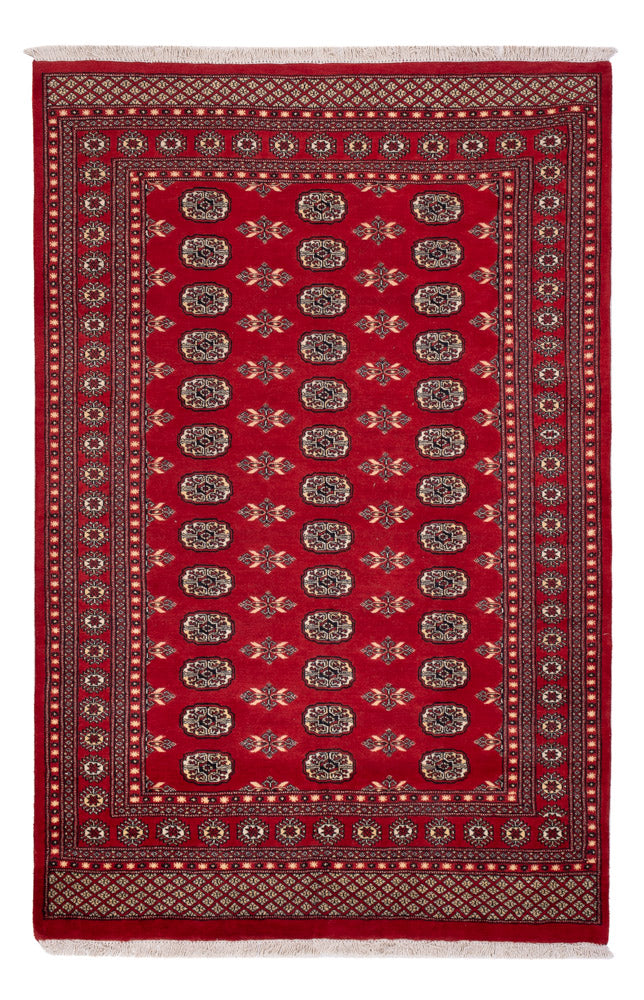 Pakistani Rug - 258 x 179 cm - red