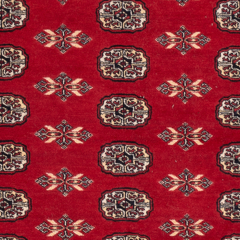 Pakistani Rug - 258 x 179 cm - red