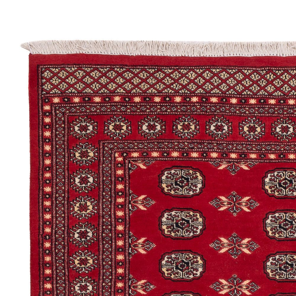 Pakistani Rug - 258 x 179 cm - red