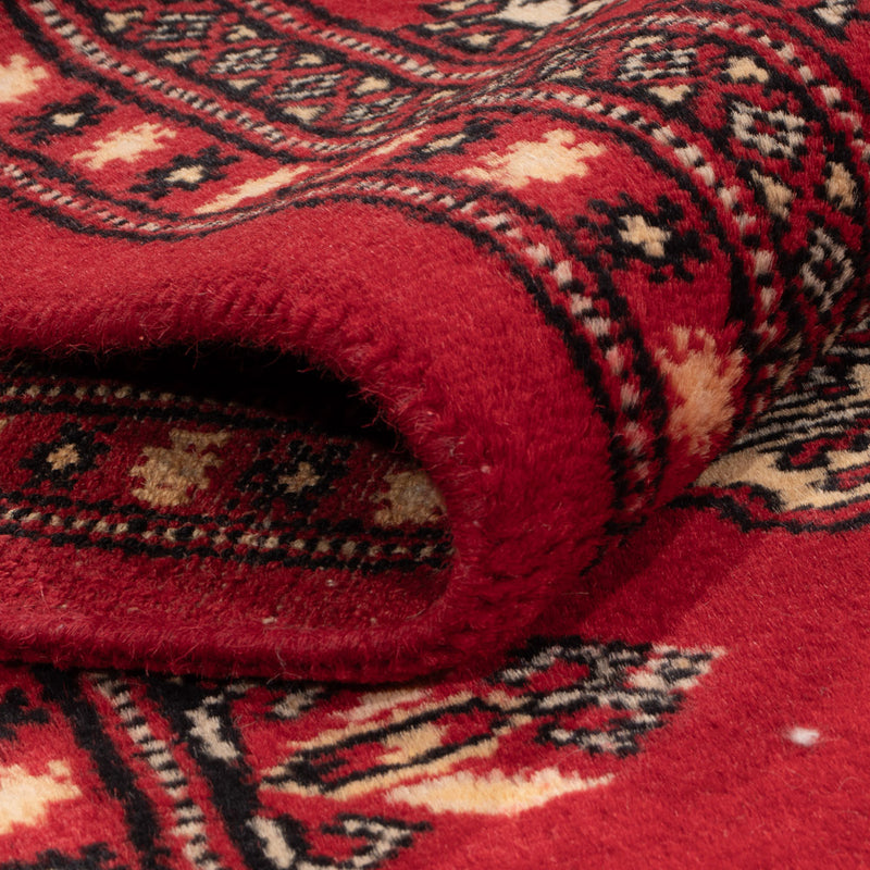 Pakistani Rug - 258 x 179 cm - red