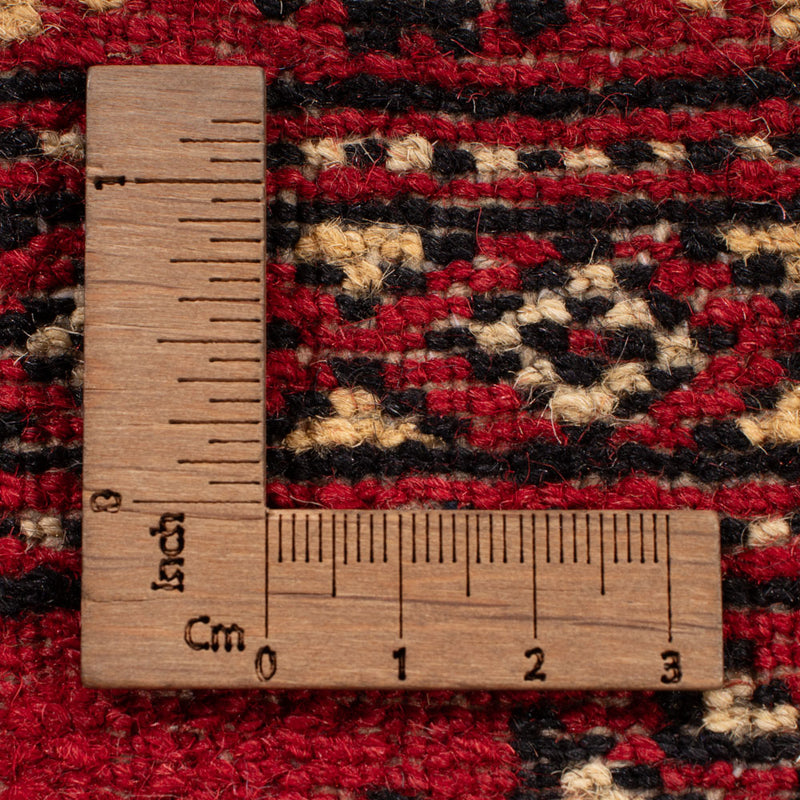 Pakistani Rug - 258 x 179 cm - red