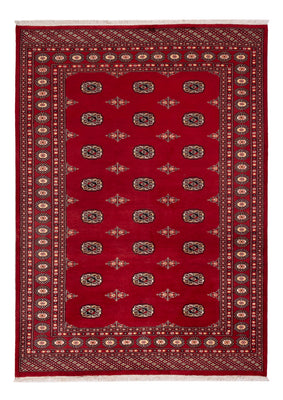 Pakistani Rug - 236 x 171 cm - red
