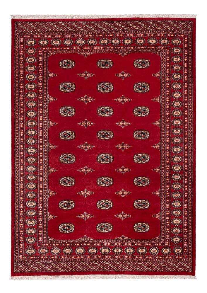 Pakistani Rug - 236 x 171 cm - red