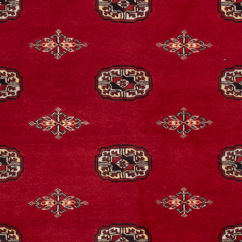 Pakistani Rug - 236 x 171 cm - red