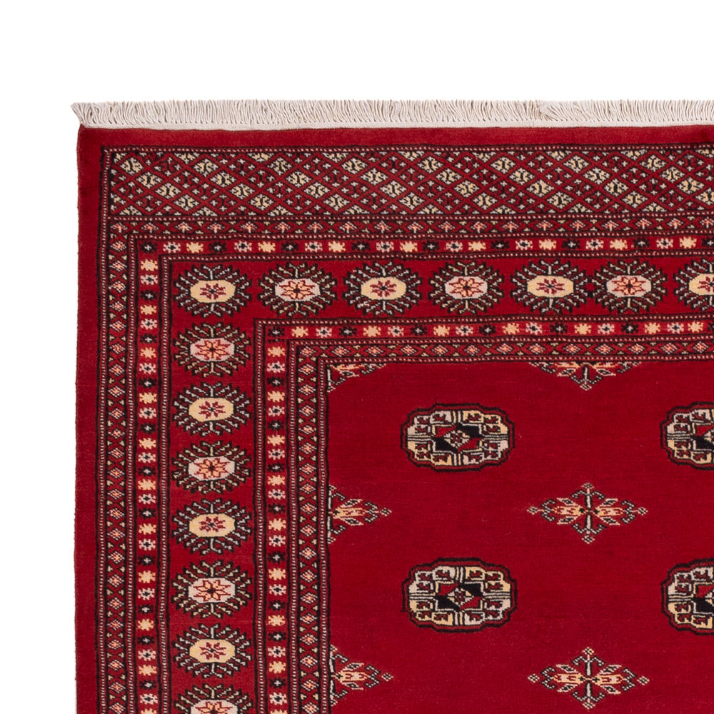 Pakistani Rug 236x171cm - Oriental Rug