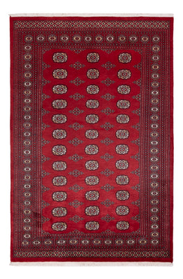 Pakistani Rug - 249 x 167 cm - red