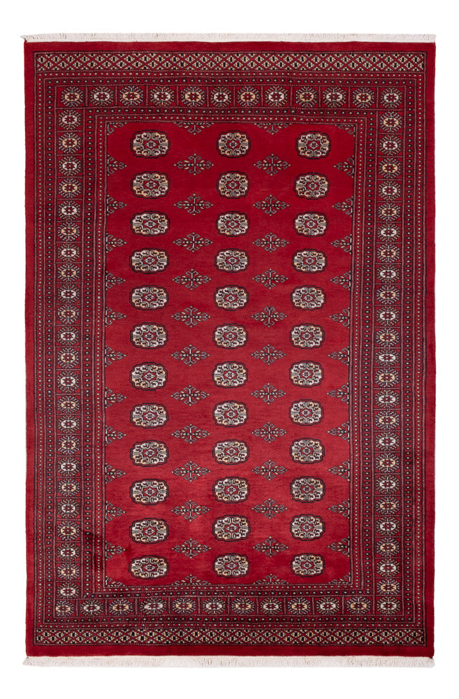 Pakistani Rug - 249 x 167 cm - red
