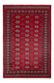Pakistani Rug 249x167cm - Oriental Rug