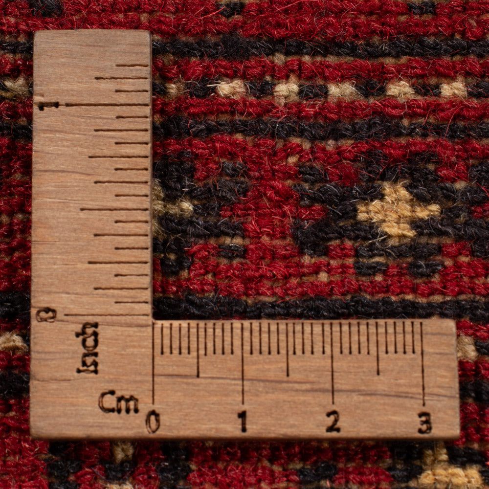 Pakistani Rug - 249 x 167 cm - red