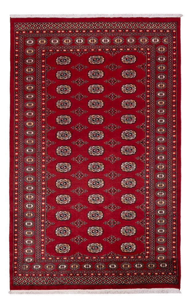 Pakistani Rug - 266 x 167 cm - red