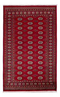 Pakistani Rug - 266 x 167 cm - red