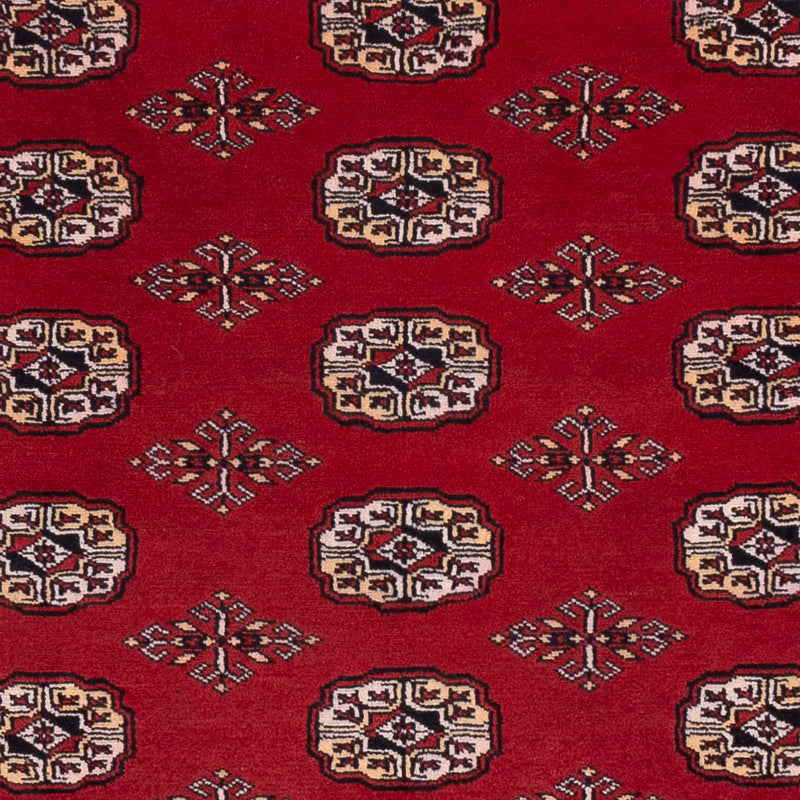 Pakistani Rug - 266 x 167 cm - red