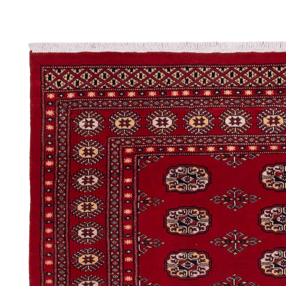 Pakistani Rug 266x167cm - Oriental Rug