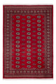 Pakistani Rug 239x164cm - Oriental Rug