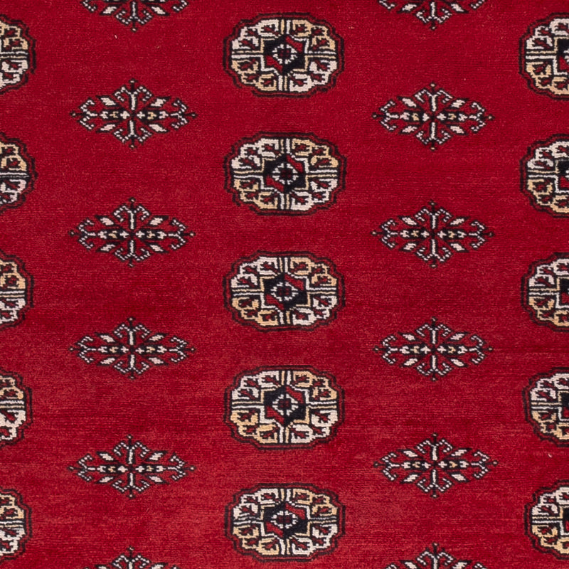 Pakistani Rug - 239 x 164 cm - red