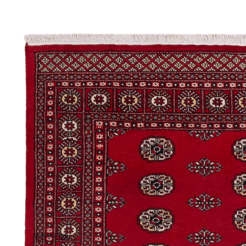 Pakistani Rug 239x164cm - Oriental Rug