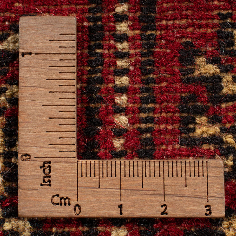 Pakistani Rug - 239 x 164 cm - red